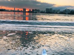 -台场海滨公园船码头
