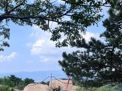 -鲁山国家森林公园