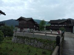 -大唐贡茶院