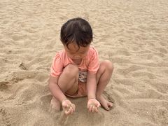 -碧海金沙