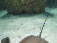 -珠海长隆海洋王国