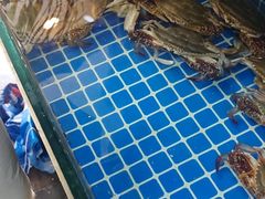 -威海渔村(黄兴路店)