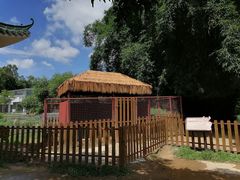 -王借岗森林公园
