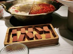 -九鼎轩脆毛肚火锅(三钢里店)