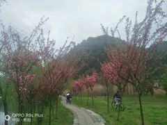 -贵阳市花溪国家城市湿地公园