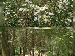 -终南山国家森林公园