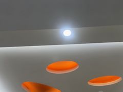 -全心全意连锁动物医院·微创中心·内科急重症·心脏专科(丰管路店)