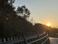 -福道