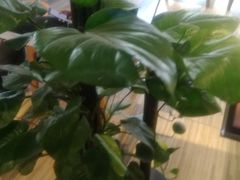 -卓尔书店咖啡吧