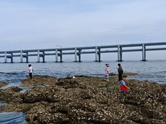 -黑石礁公园
