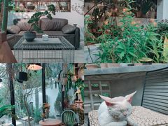 -自由生长植物工作室(深港花卉中心店)