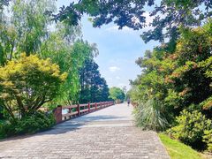 -上海滨江森林公园