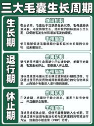 -Bollins波林丝•专研护发中心