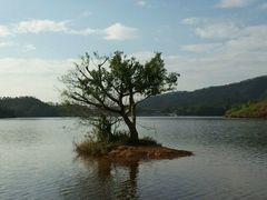 -Caten佳田(港惠店)