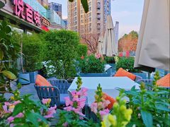 -悦百味·品质川菜(橄榄郡店)