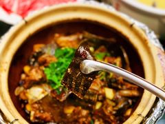 -金龙·打边炉(南京西路店)