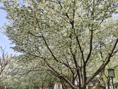 -唐城墙遗址公园