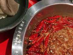 -谭鸭血老火锅(七宝万科广场店)
