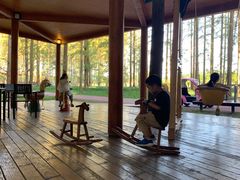 -黄海国家森林公园