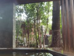 -张家港金凤凰度假村温泉
