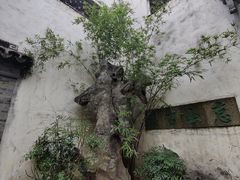 -惠山古镇·寄畅园