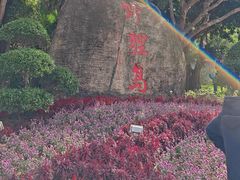 -野狸岛