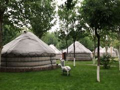 -九十九顶毡房(阜石路店)