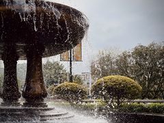 -美的鹭湖森林度假区