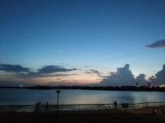 -贡湖湾湿地公园