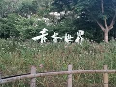 -青青世界