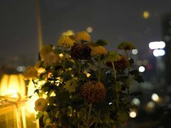 -萨芭蒂高空花园餐酒吧