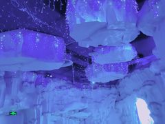 -芜湖新华联大白鲸海洋公园