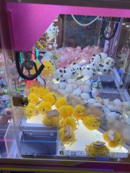 -卡通尼·Safari非洲探索乐园·生日会(金桥国际商业广场店)