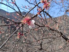 -封龙山风景区