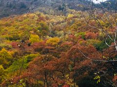 -叠溪松坪沟景区