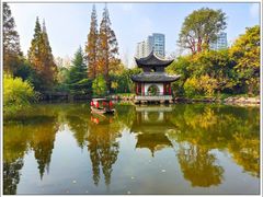 -水绘园