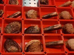 -喜歪歪·平价海鲜市场小火锅(龙阳广场店)