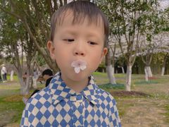 -堤角公园