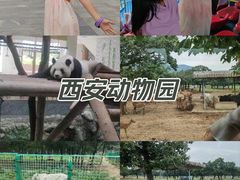 -西安秦岭野生动物园