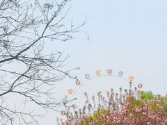 -西安浐灞国家湿地公园
