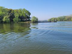 -溱湖国家湿地公园