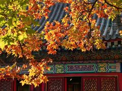 -香山公园