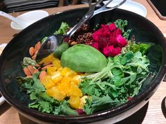 芥子酱羽翼甘蓝沙拉-小大董·烤鸭(凤凰汇店)