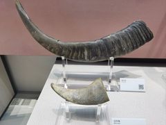 -中国民族乐器博物馆