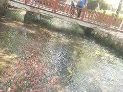 -水磨沟公园