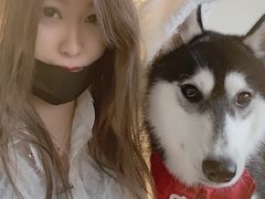 -Husky Go! 哈士奇体验馆·宠物咖啡厅狗咖