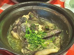 -好爸爸(印象城旗舰店)