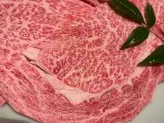-然锅料理