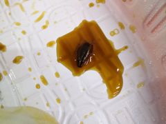 -东北人粗粮饺子坊(南山店)