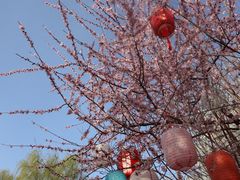 -三里河公园